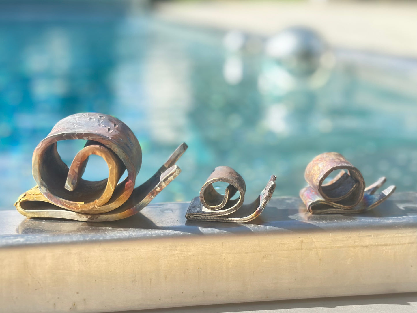 Schnecke
